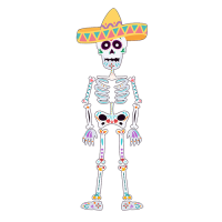 4 Skeleton